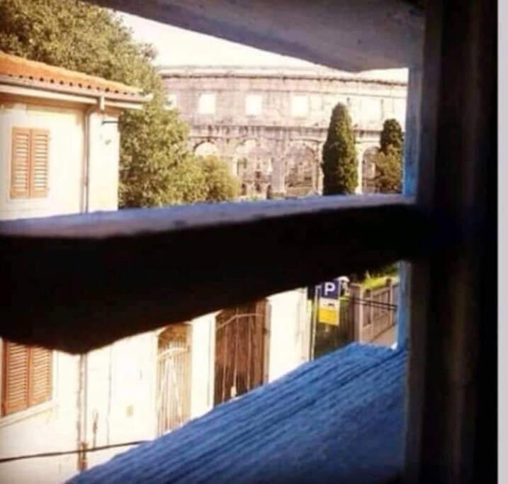 Colloseum View From The